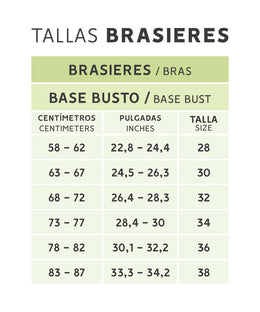 tallas-brasier